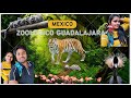 Zoologico Guadalajara , #mexico