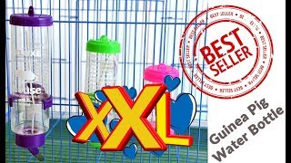 Best Guinea Pig Water Bottle Size XL and XXL