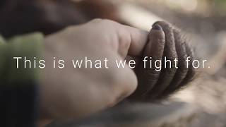 #ResetTheWorld - Join the movement now! | FOUR PAWS | www.four-paws.org