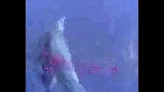 Watch John Klemmer Glass Dolphins video