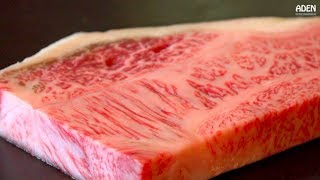 Rare Iwate Steak - Food in Japan