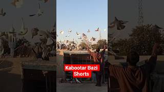 Zaberdest Kbuter