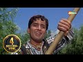 परदेसियों से ना अँखियां मिलाना- Jab Jab Phool Khile - Shashi Kapoor Superhit Song - Pardesiyon Se Na