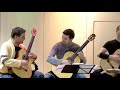 Slavische dans no.5 J. Brahms door het Baltic Guitar Quartet