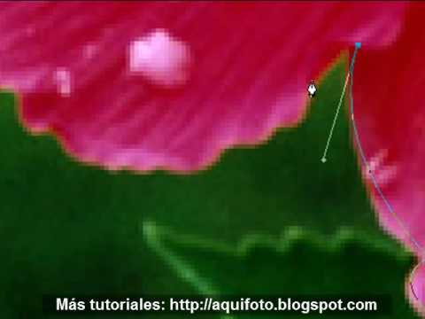 Aquifoto - Videotutorial 6 - Pluma Aquifoto - Videotutorial 6 - Pluma