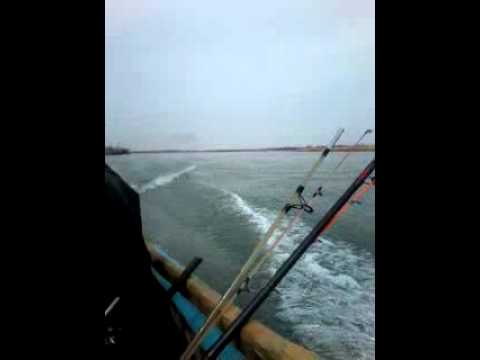 рыбалка видео баканас рыбалка видео баканас
