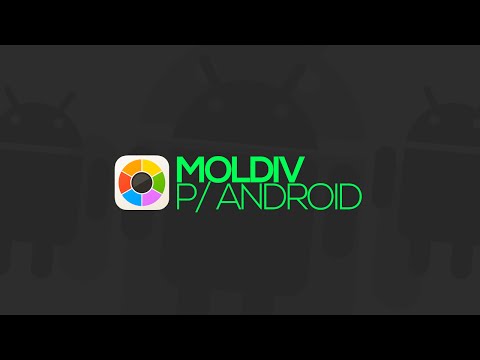 Скачать программу Moldiv на компьютер Скачать программу Moldiv на компьютер