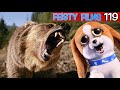Real Animals Fight Feisty Pets! Feisty Films Ep. 119