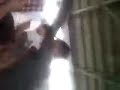 image Goyang Dangdut Keterlaluan Hot