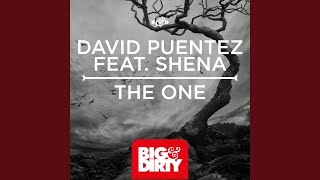 The One (Feat. Shena) (Vicetone Remix)