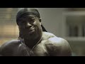 muscle