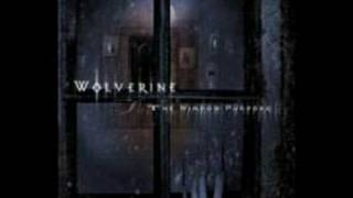 Watch Wolverine Again video