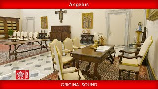 January 24 2021 Angelus prayer Pope Francis