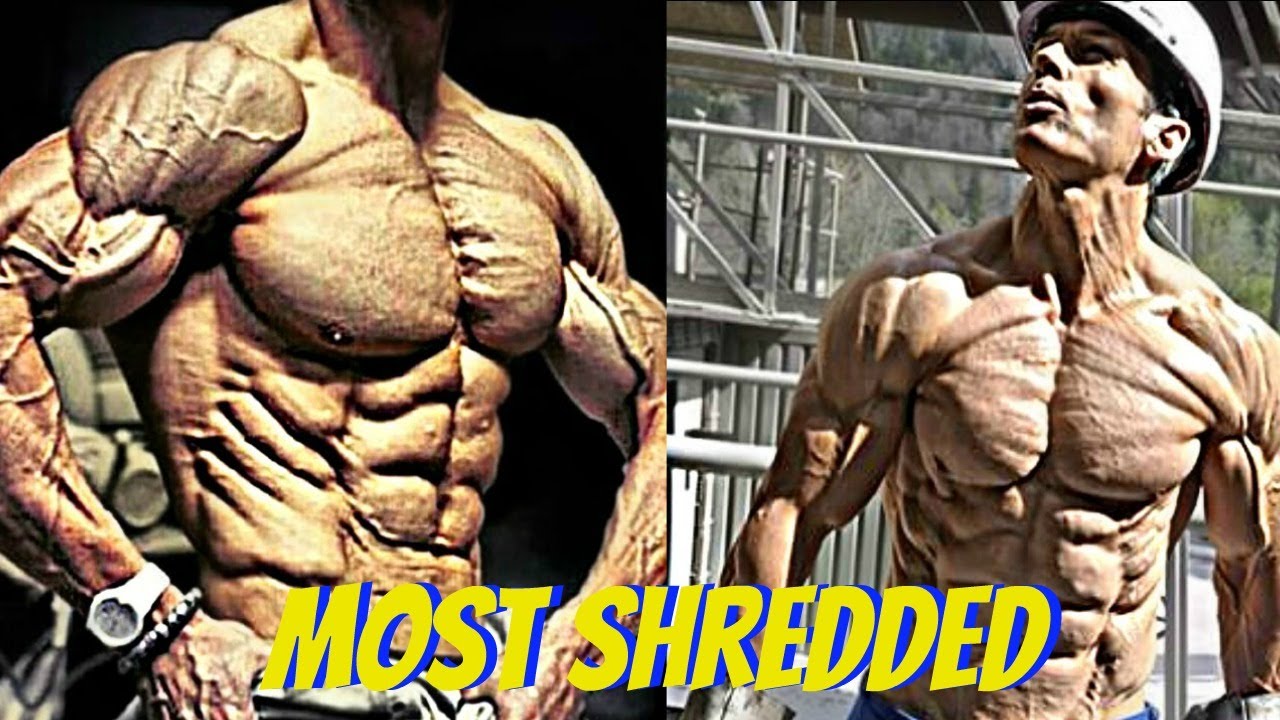 Shredded guy