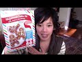 Ninja Gingerbread Cookie Kit - Whatcha Eating? #120