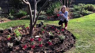 Garden Girl: My Bee-Friendly Garden Begins!...