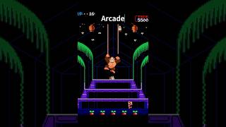 Donkey Kong 3 Game Over Screens