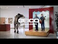 Geico Hump Day Camel Commercial Plus T Shirt Offer images Geico Hump Day Camel Commercial Plus T Shirt Offer