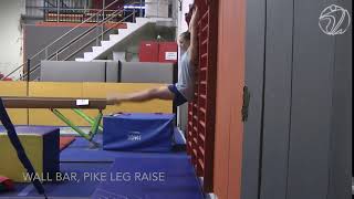 Leg raises Pike (Testing skill)