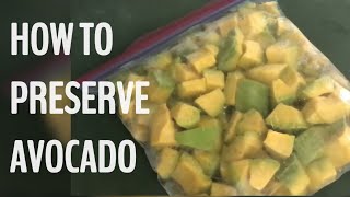 How To Preserve Avocado
