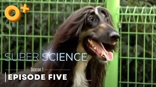 Super Science Season 1 Episode 5 Cloning