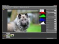 Видео Nikon View NX2 software basics tutorial