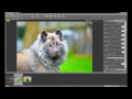 Video Nikon View NX2 software basics tutorial