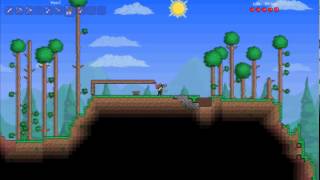 Terraria S -