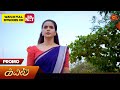 Next week in Kayal - Promo | 29 April  2024 | Tamil Serial | Sun TV