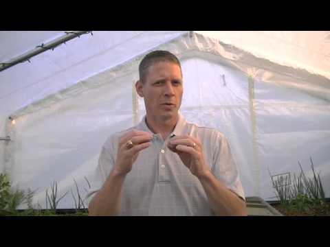 Aquaponic Systems For Sale Videos