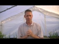 food system