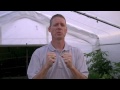food system