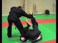 Bujinkan Ninjutsu, un Weekend au dojo avec Bernard Bordas