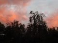 Piros az ég alja Gyulán 2016.06.15 - én este