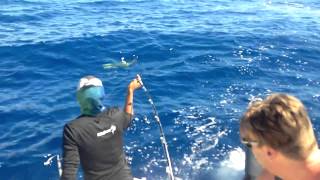 Dallas lands a Dorado in Costa Rica