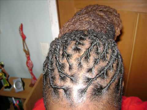 Tags: dreadlocks locs natural hair natural hairstyles braided dreads locks