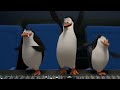 Celebrate (Los Pingüinos De Madagascar) Video preview