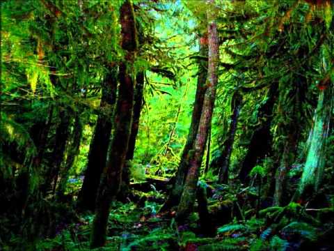 The Cure- A Forest (album version) HQ