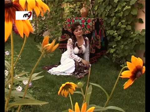Maria Ghinea - Foaie verde- o viorea
