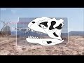dinosaur