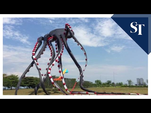 Giant Octopus Kite Is Crazy Big - Video