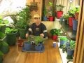 Unrealistic Gardening Expectations