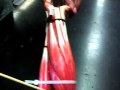 Back Arm and Shoulder Musculature of the Big Arm.mp4