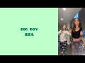 New January 2023 TikTok mashup with song names ( not clean )