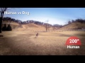Human vs Animals ～The amazing eyes of animal～【3DS 牧場物語 つながる新天地】
