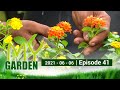 My Garden 06-06-2021