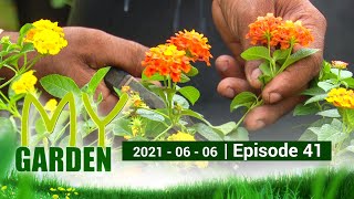 My Garden | Episode 41 | 06 - 06 - 2021