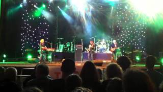 Watch Animals Bright Lights Big City video