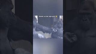 Yoook K.çım Ağrıyor