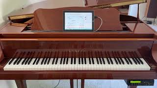 Yamaha Disklavier Baby Grand
